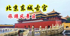 免费看黄色淫批视频中国北京-东城古宫旅游风景区